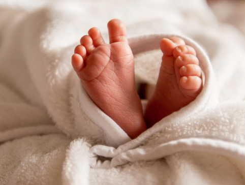 BabySection2